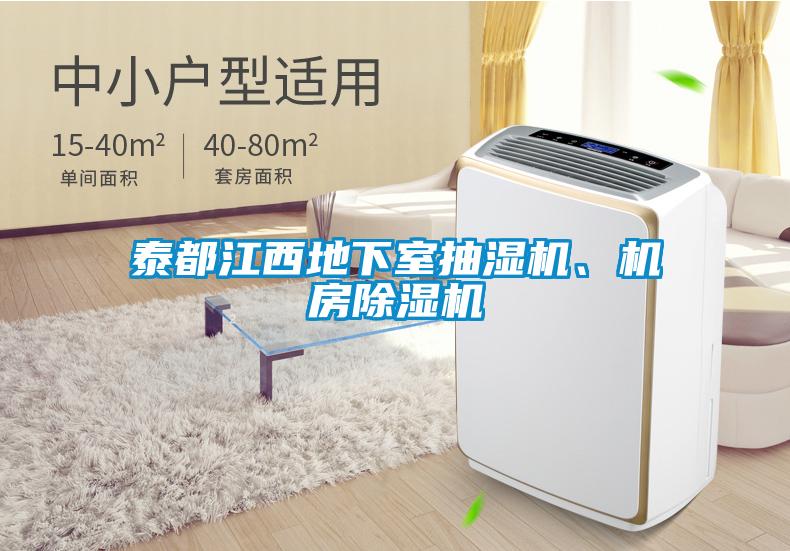泰都江西地下室抽濕機(jī)、機(jī)房除濕機(jī)