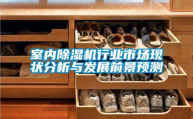 室內(nèi)除濕機(jī)行業(yè)市場現(xiàn)狀分析與發(fā)展前景預(yù)測