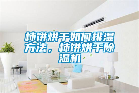 柿餅烘干如何排濕方法，柿餅烘干除濕機