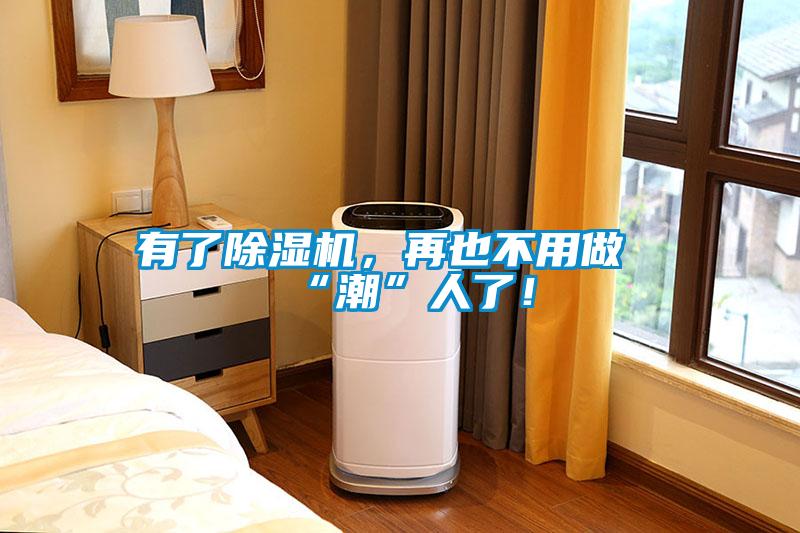 有了除濕機，再也不用做“潮”人了！