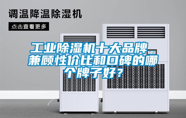 工業(yè)除濕機(jī)十大品牌 兼顧性價比和口碑的哪個牌子好？
