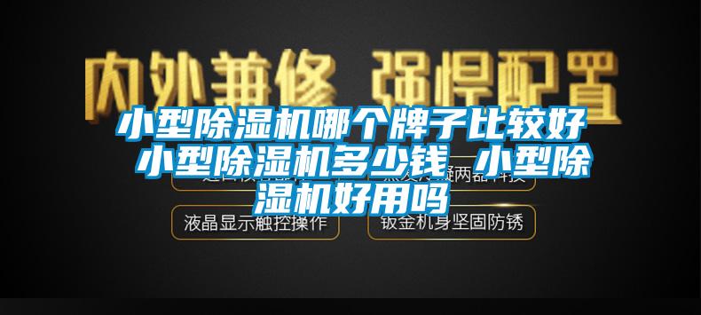 小型除濕機哪個牌子比較好 小型除濕機多少錢 小型除濕機好用嗎