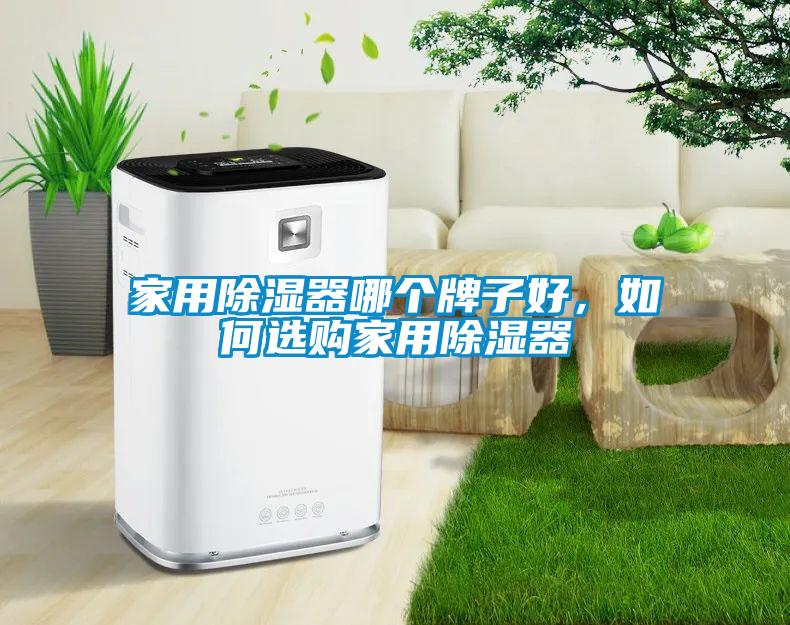 家用除濕器哪個(gè)牌子好，如何選購(gòu)家用除濕器