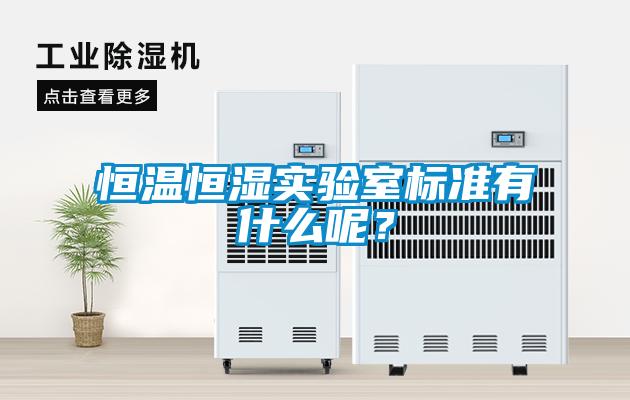 恒溫恒濕實(shí)驗(yàn)室標(biāo)準(zhǔn)有什么呢？