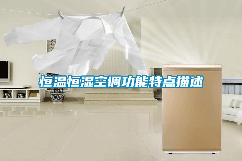 恒溫恒濕空調(diào)功能特點(diǎn)描述