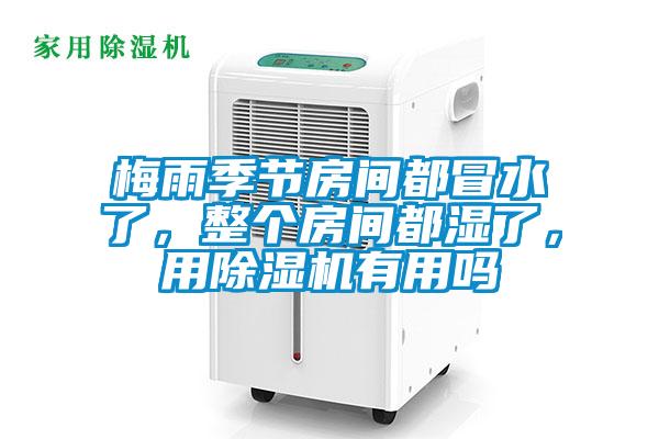 梅雨季節(jié)房間都冒水了，整個房間都濕了，用除濕機有用嗎