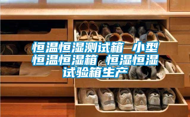 恒溫恒濕測試箱 小型恒溫恒濕箱 恒濕恒濕試驗(yàn)箱生產(chǎn)