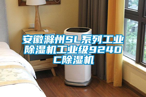 安徽滁州SL系列工業(yè)除濕機(jī)工業(yè)級9240C除濕機(jī)