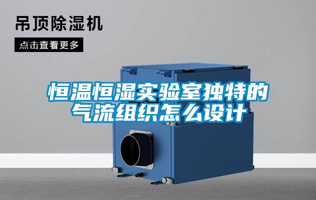 恒溫恒濕實(shí)驗(yàn)室獨(dú)特的氣流組織怎么設(shè)計(jì)