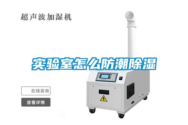 實(shí)驗(yàn)室怎么防潮除濕