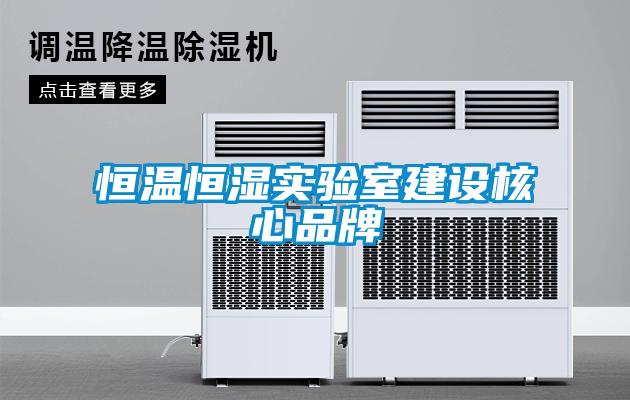 恒溫恒濕實(shí)驗(yàn)室建設(shè)核心品牌