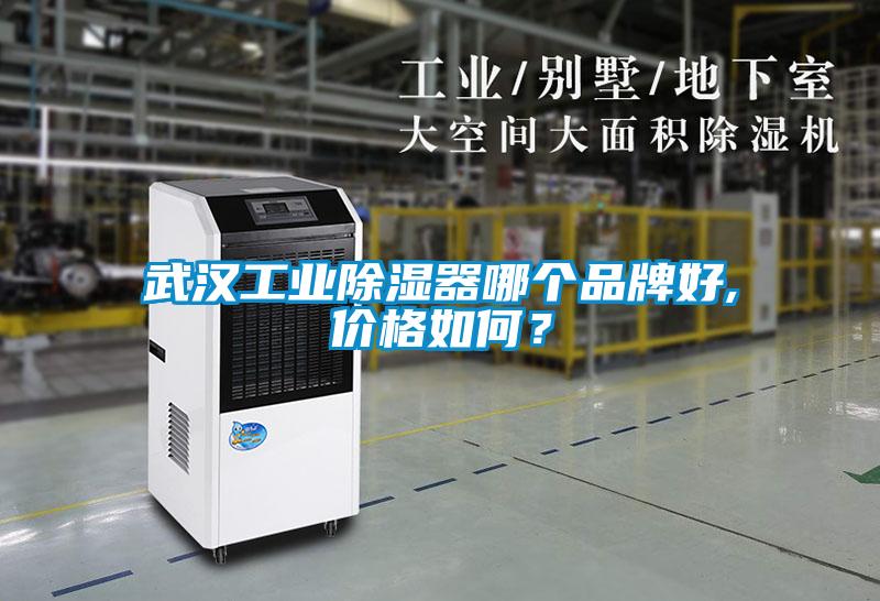 武漢工業(yè)除濕器哪個品牌好,價格如何？
