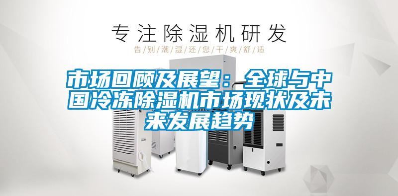 市場回顧及展望：全球與中國冷凍除濕機市場現(xiàn)狀及未來發(fā)展趨勢