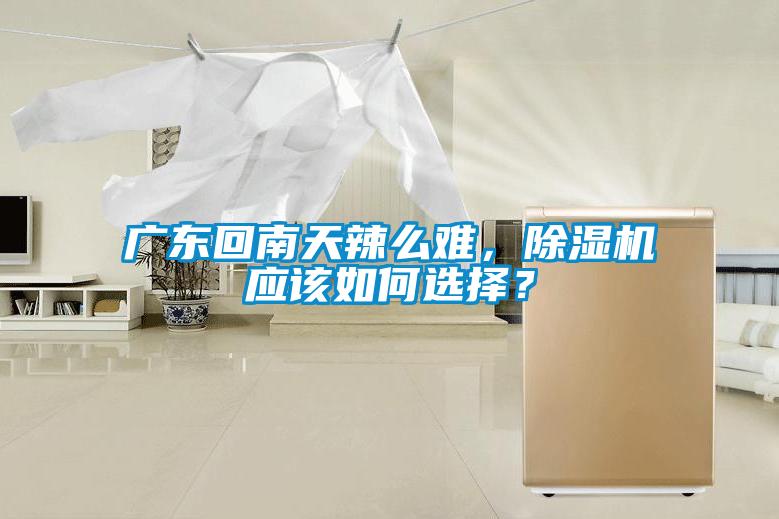 廣東回南天辣么難，除濕機(jī)應(yīng)該如何選擇？