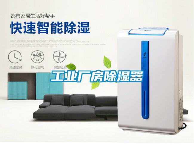 工業(yè)廠(chǎng)房除濕器