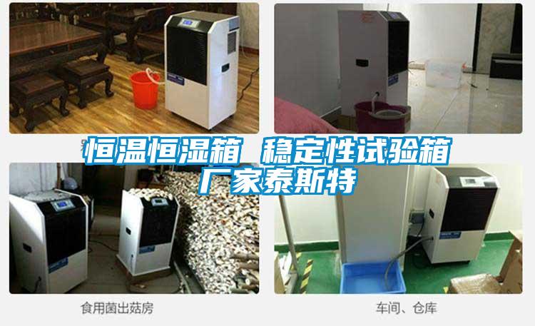恒溫恒濕箱 穩(wěn)定性試驗(yàn)箱 廠(chǎng)家泰斯特