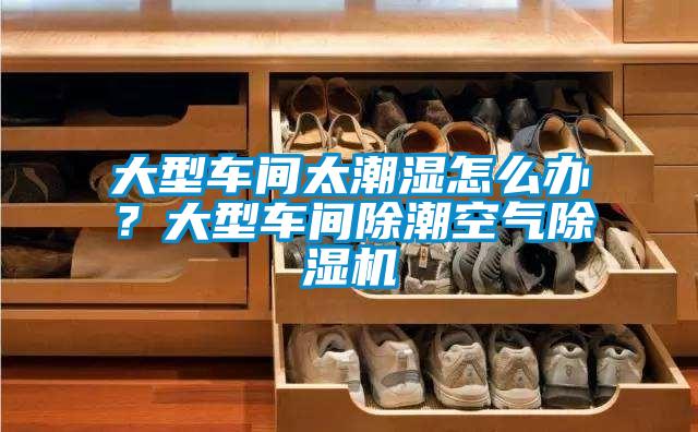 大型車間太潮濕怎么辦？大型車間除潮空氣除濕機(jī)