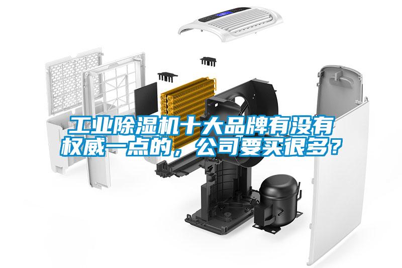 工業(yè)除濕機(jī)十大品牌有沒有權(quán)威一點的，公司要買很多？