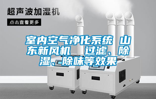 室內(nèi)空氣凈化系統(tǒng) 山東新風(fēng)機(jī)  過(guò)濾、除濕、除味等效果