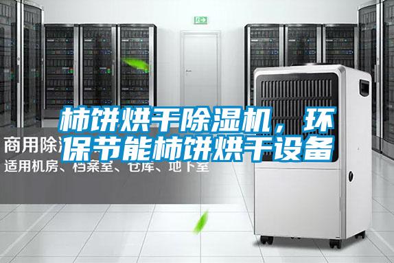 柿餅烘干除濕機，環(huán)保節(jié)能柿餅烘干設(shè)備