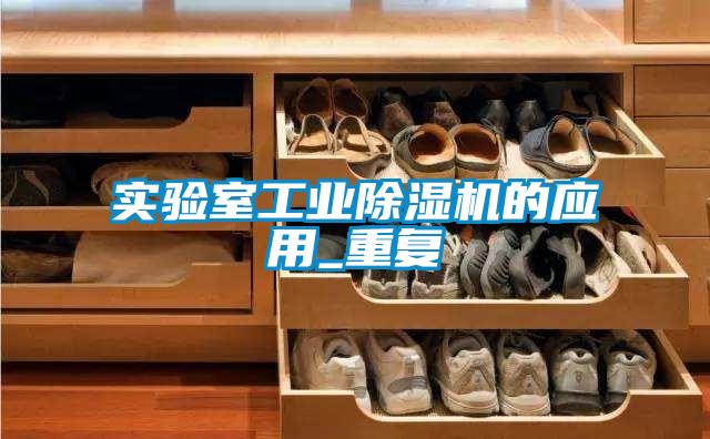 實(shí)驗(yàn)室工業(yè)除濕機(jī)的應(yīng)用_重復(fù)
