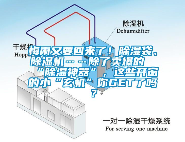 梅雨又要回來了！除濕袋、除濕機……除了賣爆的“除濕神器”，這些開窗的小“玄機”你GET了嗎？