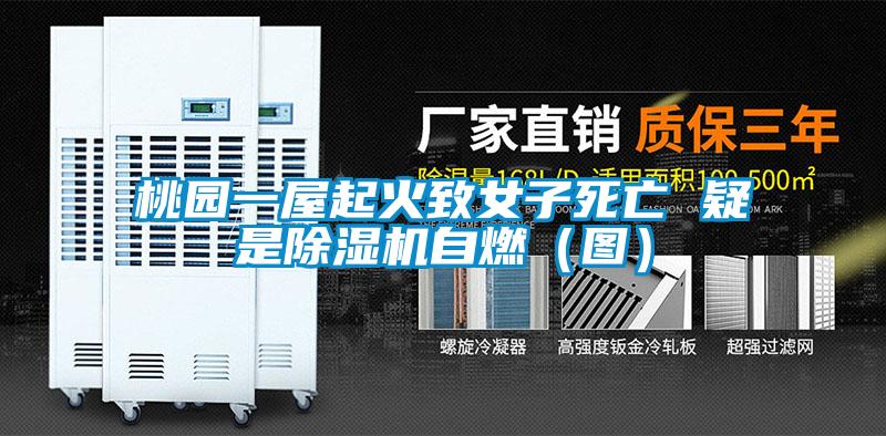 桃園一屋起火致女子死亡 疑是除濕機自燃（圖）