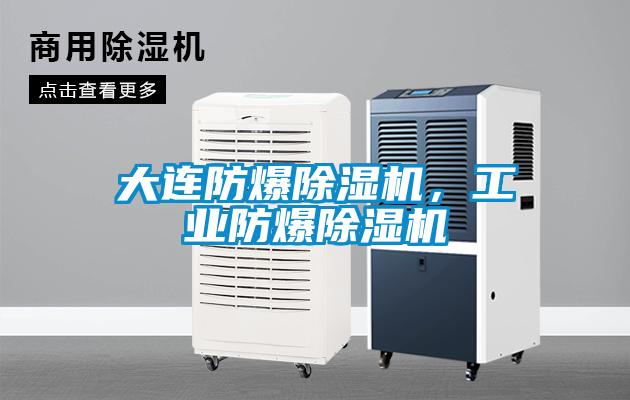 大連防爆除濕機，工業(yè)防爆除濕機