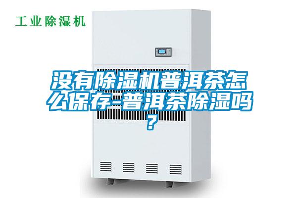 沒有除濕機普洱茶怎么保存-普洱茶除濕嗎？