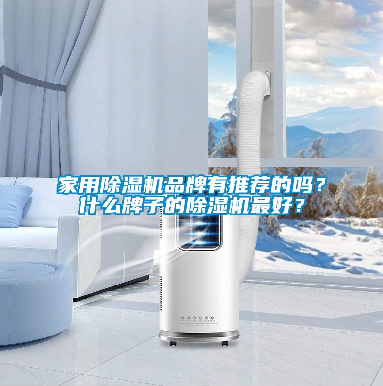 家用除濕機(jī)品牌有推薦的嗎？什么牌子的除濕機(jī)最好？