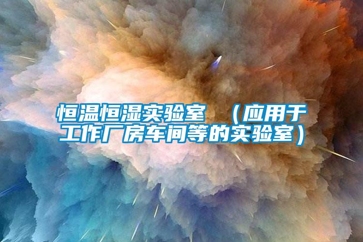 恒溫恒濕實驗室 （應(yīng)用于工作廠房車間等的實驗室）