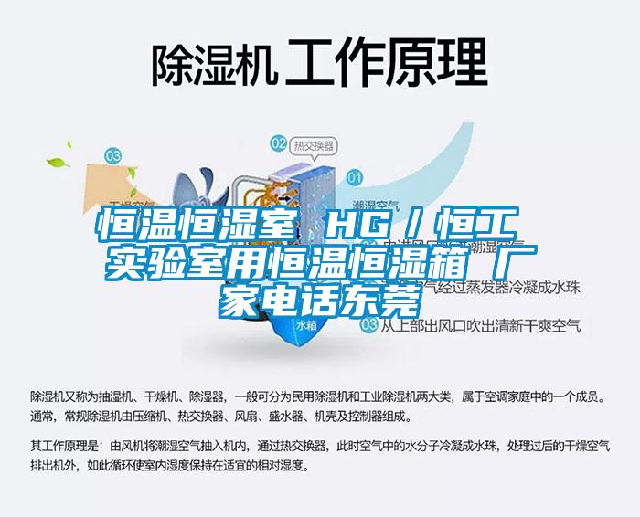 恒溫恒濕室 HG／恒工 實(shí)驗(yàn)室用恒溫恒濕箱 廠家電話東莞