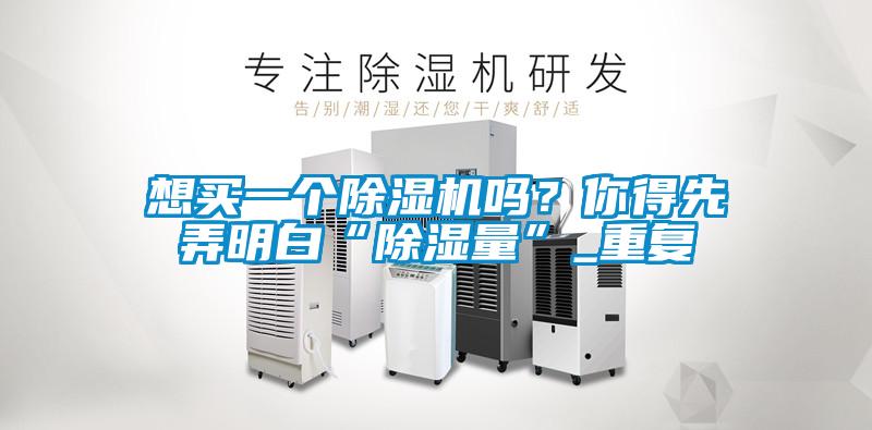 想買一個(gè)除濕機(jī)嗎？你得先弄明白“除濕量”_重復(fù)