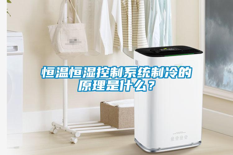 恒溫恒濕控制系統制冷的原理是什么？