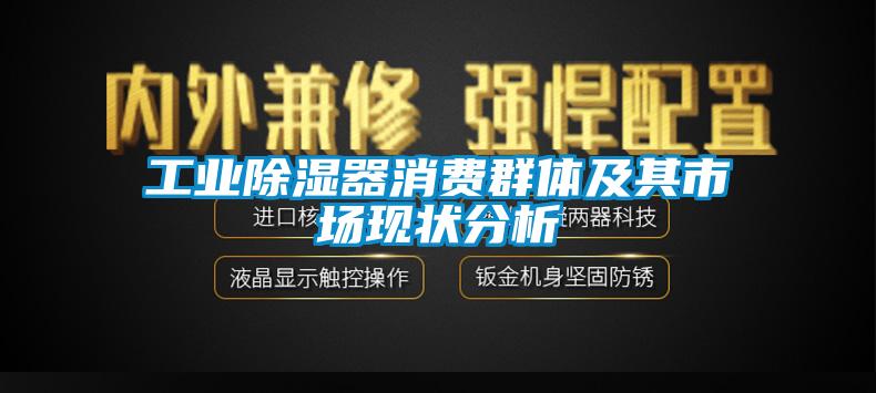 工業(yè)除濕器消費(fèi)群體及其市場現(xiàn)狀分析