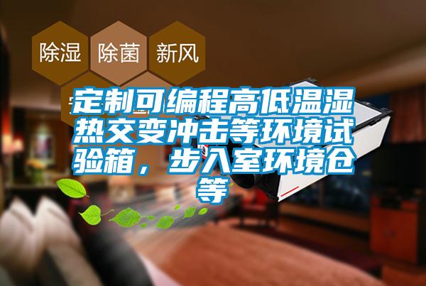 定制可編程高低溫濕熱交變沖擊等環(huán)境試驗(yàn)箱，步入室環(huán)境倉等