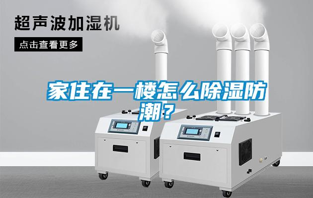 家住在一樓怎么除濕防潮？