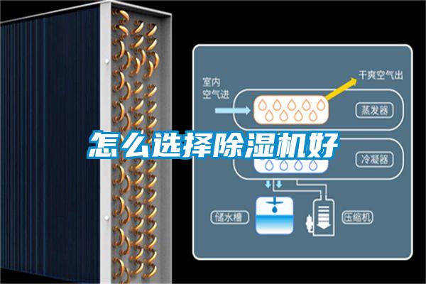 怎么選擇除濕機好
