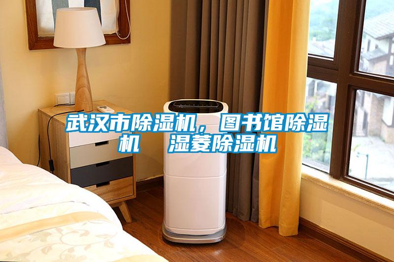 武漢市除濕機，圖書館除濕機  濕菱除濕機