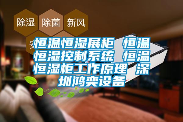 恒溫恒濕展柜 恒溫恒濕控制系統(tǒng) 恒溫恒濕柜工作原理 深圳鴻奕設備