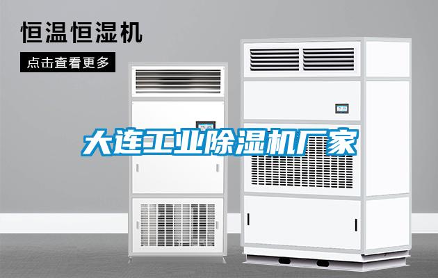 大連工業(yè)除濕機廠家