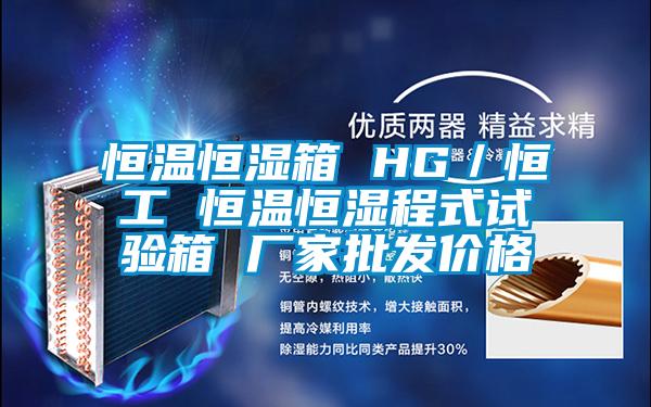 恒溫恒濕箱 HG／恒工 恒溫恒濕程式試驗箱 廠家批發(fā)價格