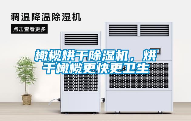 橄欖烘干除濕機(jī)，烘干橄欖更快更衛(wèi)生