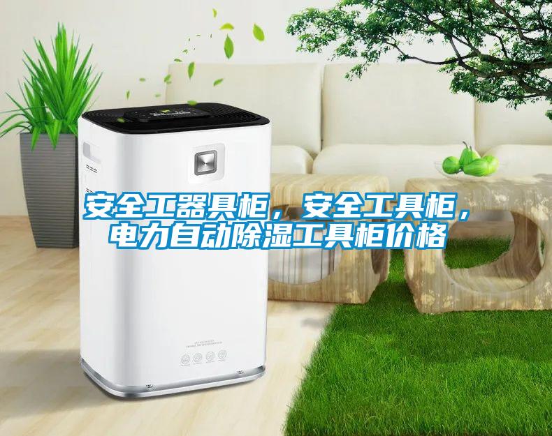 安全工器具柜，安全工具柜，電力自動除濕工具柜價格