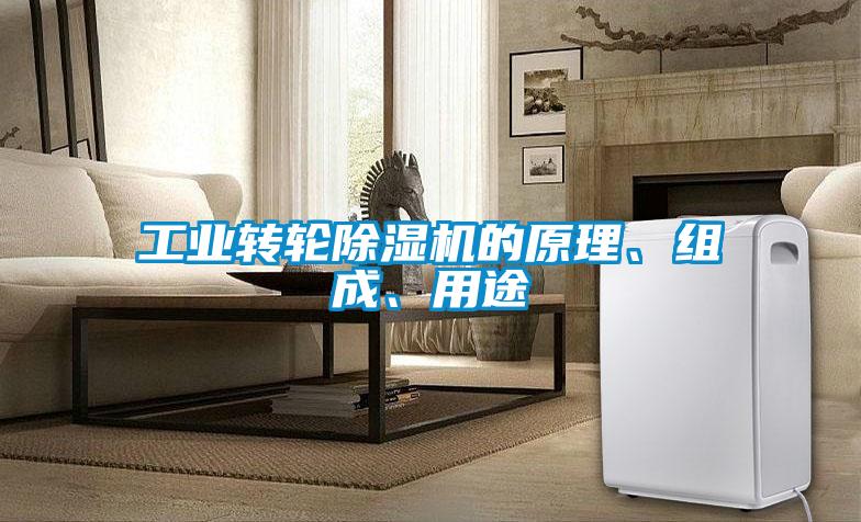 工業(yè)轉(zhuǎn)輪除濕機(jī)的原理、組成、用途