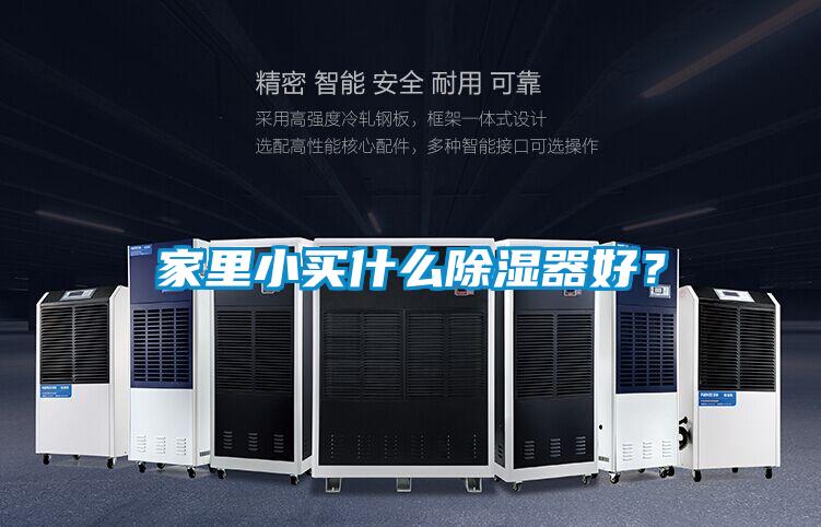 家里小買(mǎi)什么除濕器好？