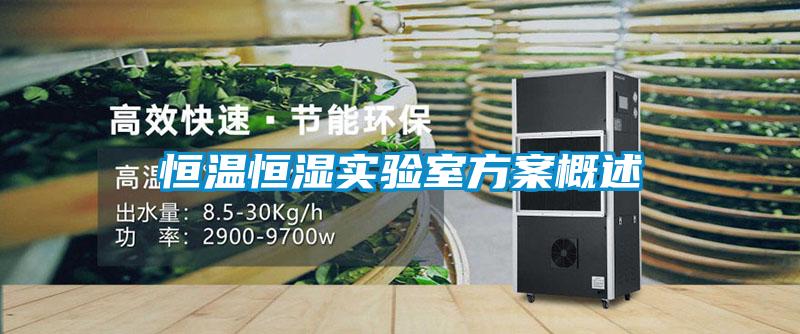 恒溫恒濕實(shí)驗(yàn)室方案概述