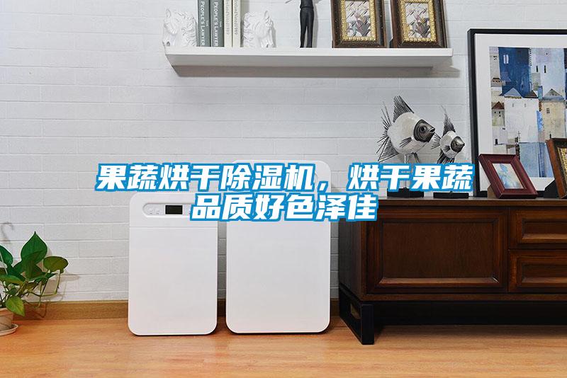 果蔬烘干除濕機(jī)，烘干果蔬品質(zhì)好色澤佳