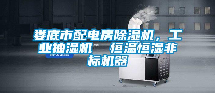 婁底市配電房除濕機(jī)，工業(yè)抽濕機(jī)  恒溫恒濕非標(biāo)機(jī)器