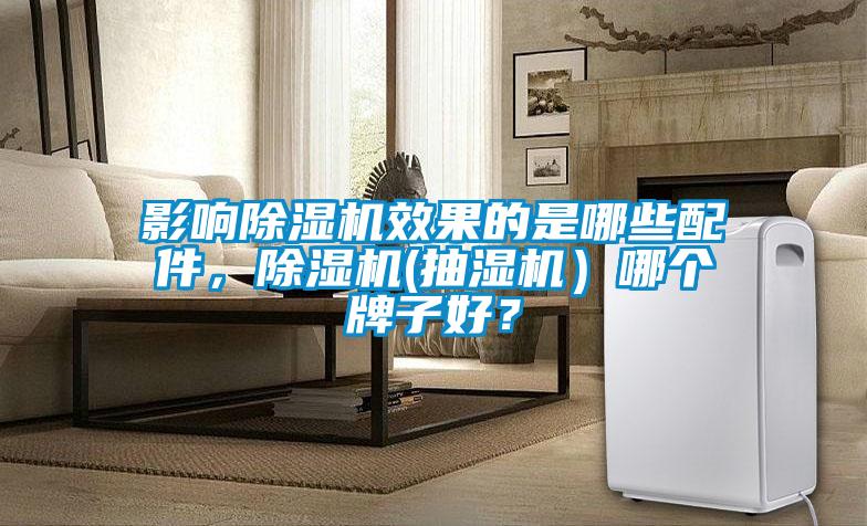 影響除濕機效果的是哪些配件，除濕機(抽濕機）哪個牌子好？
